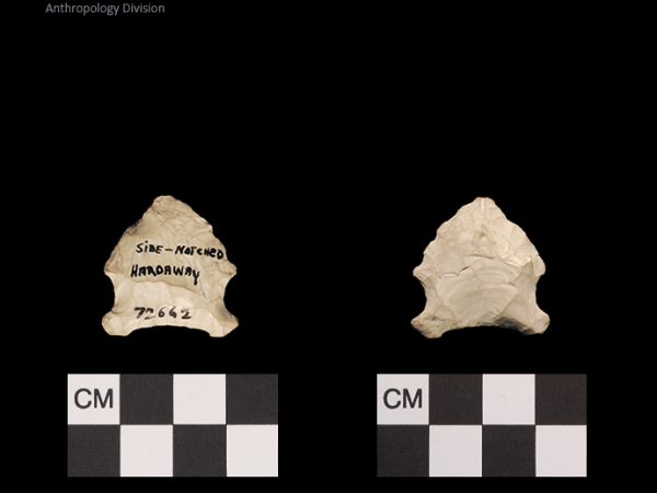Hardaway Side Notched | Late Dalton (Bullen)/Late Paleoindian (Milanich)