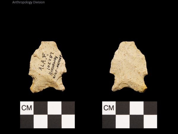 Hardaway Side Notched | Late Dalton (Bullen)/Late Paleoindian (Milanich)