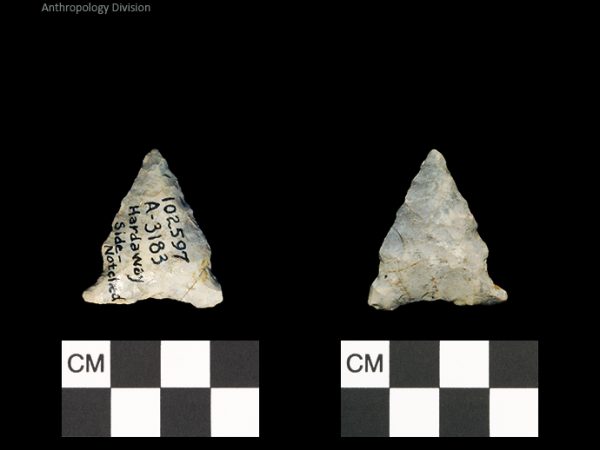 Hardaway Side Notched | Late Dalton (Bullen)/Late Paleoindian (Milanich)