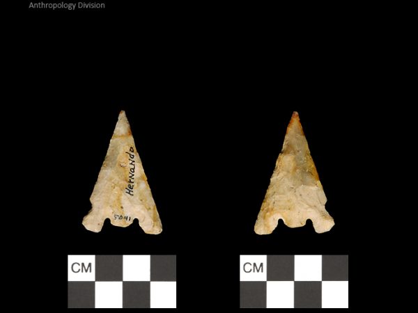 Hernando | Transitional