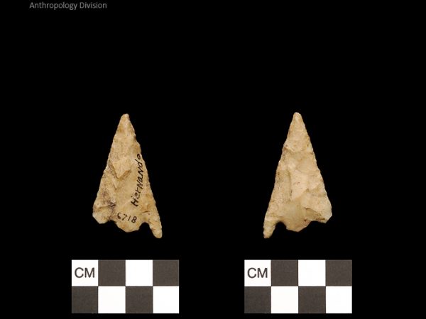 Hernando | Transitional