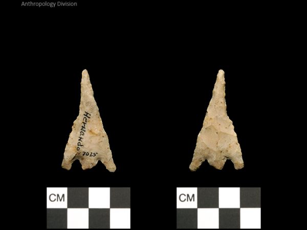 Hernando | Transitional