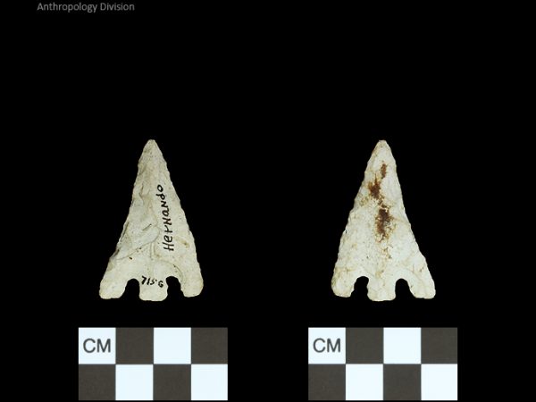 Hernando | Transitional