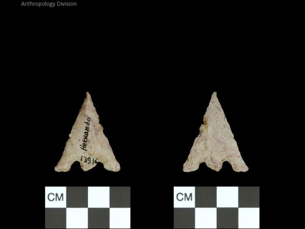 Hernando | Transitional