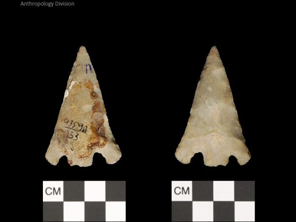 Hernando | Transitional