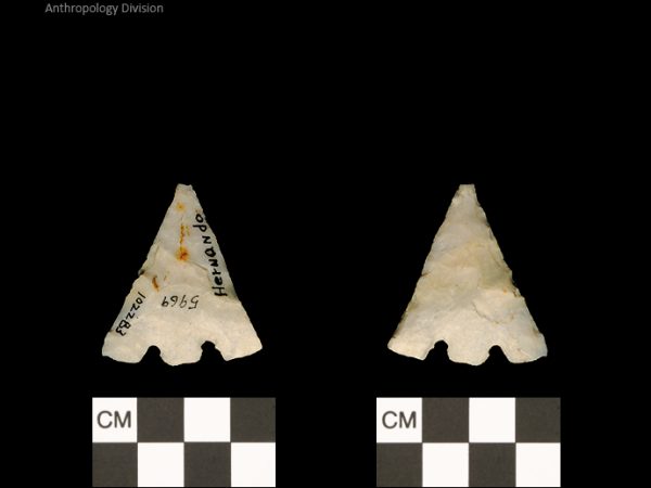 Hernando | Transitional