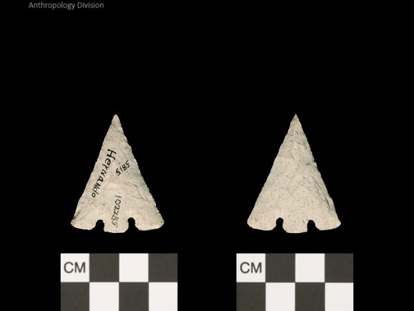 Hernando | Transitional