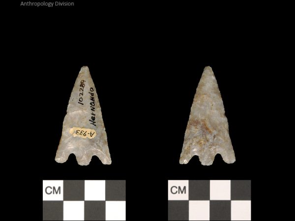 Hernando | Transitional