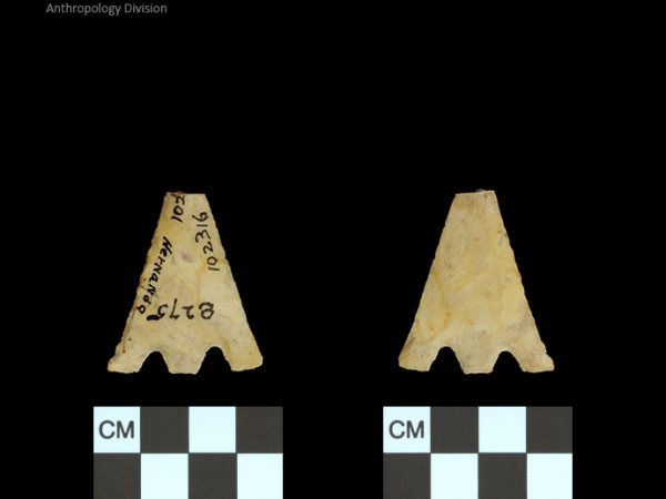 Hernando | Transitional