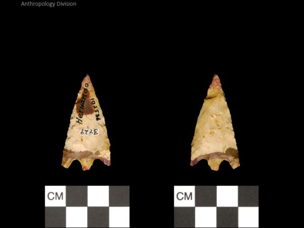 Hernando | Transitional