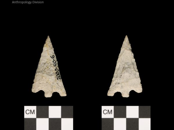 Hernando | Transitional