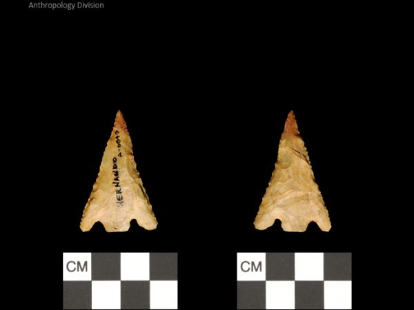 Hernando | Transitional