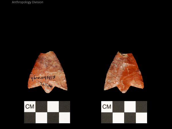 Hillsborough | Middle Archaic
