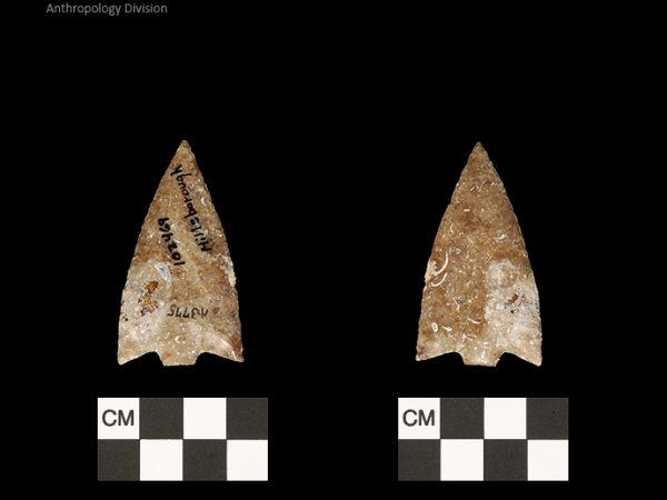 Hillsborough | Middle Archaic