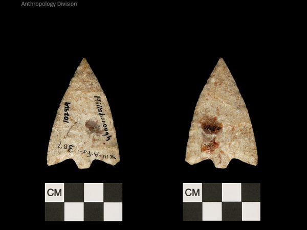 Hillsborough | Middle Archaic