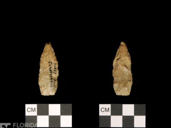 Itchetucknee | Alachua Tradition to Contact Period