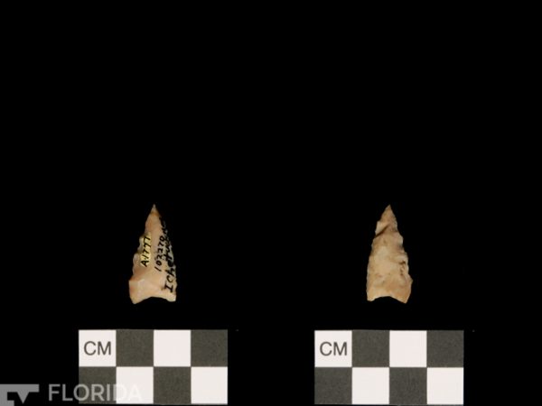 Itchetucknee | Alachua Tradition to Contact Period