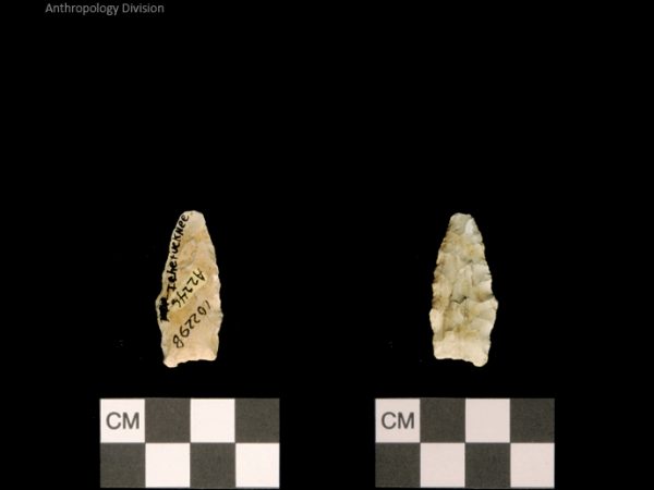 Ichetucknee | Alachua Tradition to Contact Period