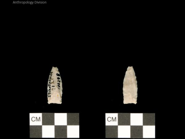 Ichetucknee | Alachua Tradition to Contact Period