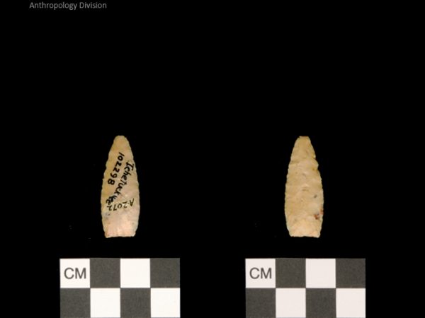 Ichetucknee | Alachua Tradition to Contact Period