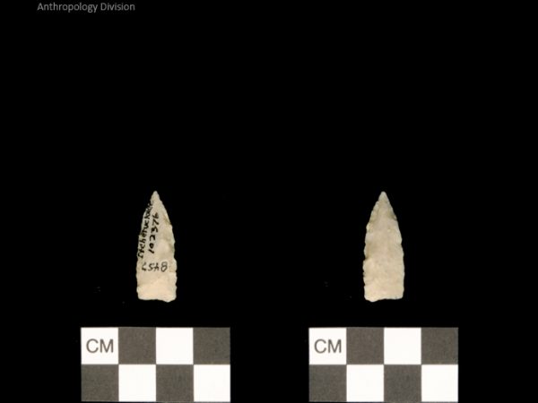 Ichetucknee | Alachua Tradition to Contact Period