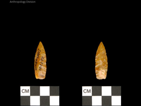 Ichetucknee | Alachua Tradition to Contact Period