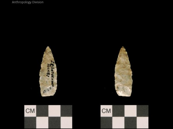 Ichetucknee | Alachua Tradition to Contact Period