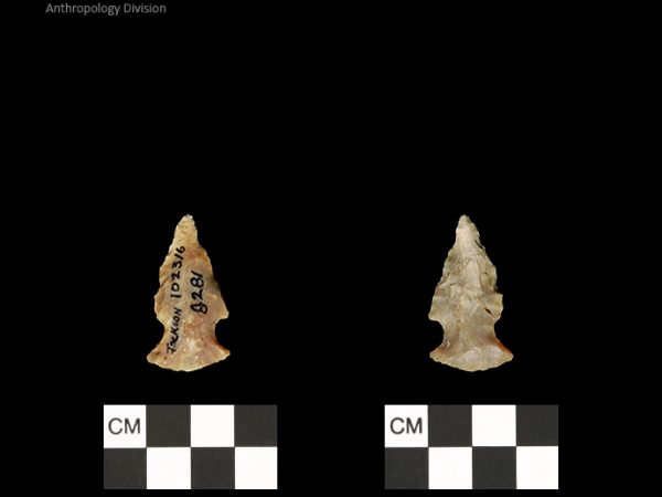 Jackson | Woodland/Post-Archaic Regional