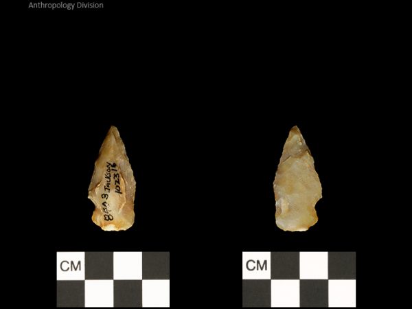 Jackson | Woodland/Post-Archaic Regional