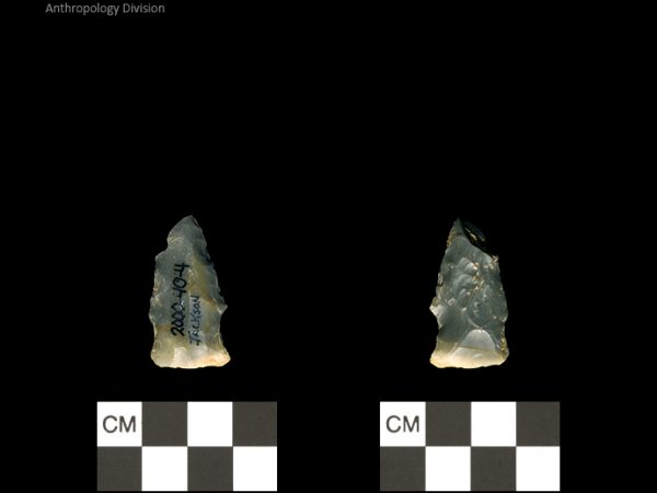 Jackson | Woodland/Post-Archaic Regional