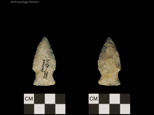 Jackson | Woodland/Post-Archaic Regional
