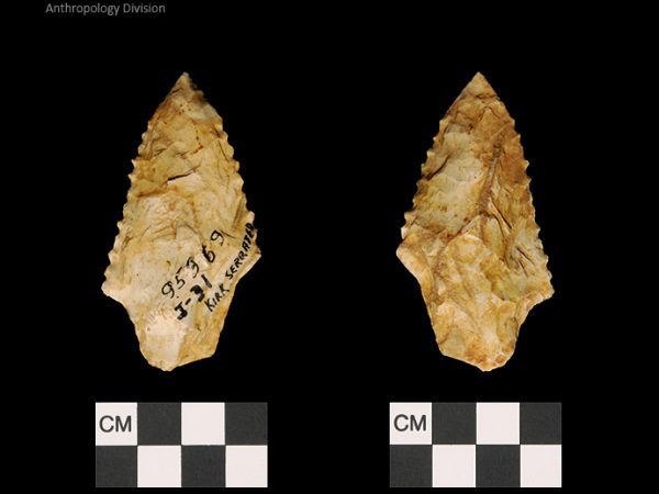 Kirk Serrated | Early Archaic