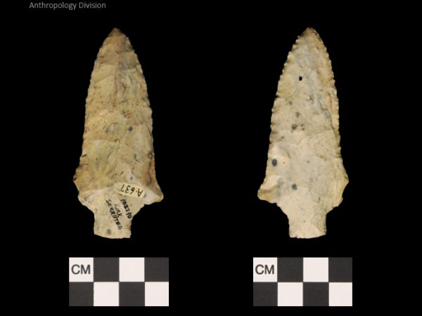 Kirk Serrated | Early Archaic