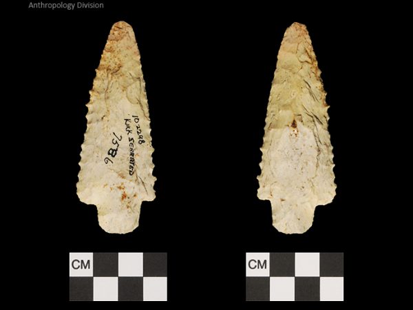 Kirk Serrated | Early Archaic