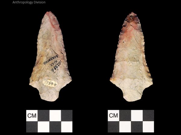 Kirk Serrated | Early Archaic