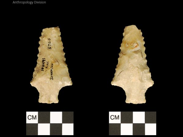 Kirk Serrated | Early Archaic