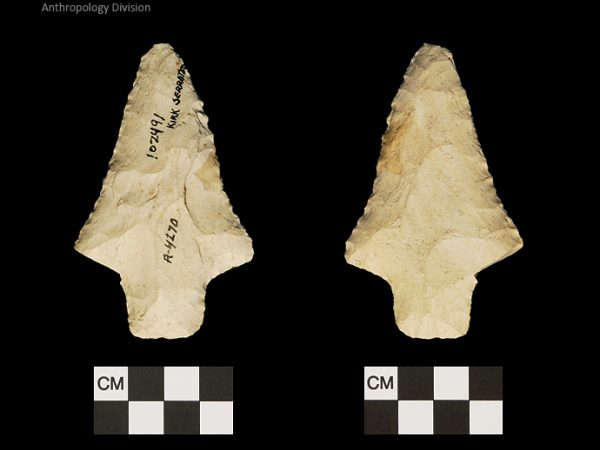 Kirk Serrated | Early Archaic