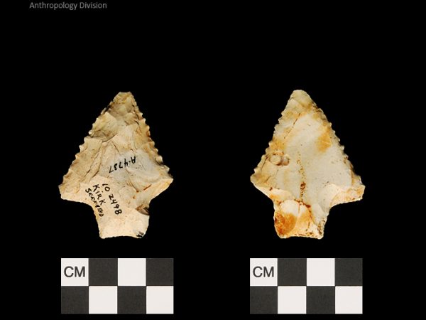 Kirk Serrated | Early Archaic