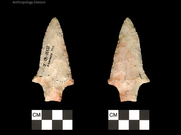 Kirk Serrated | Early Archaic