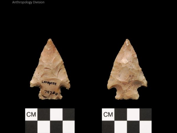 Lafayette | Transitional