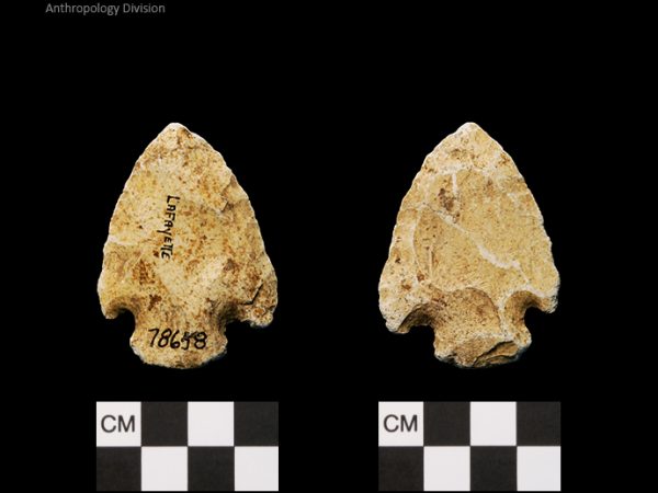 Lafayette | Transitional