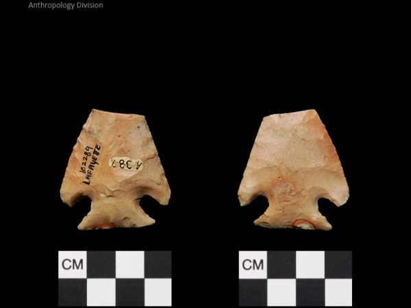 Lafayette | Transitional