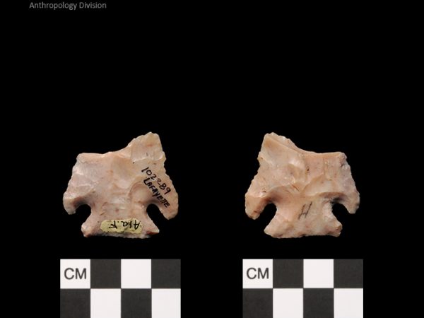 Lafayette | Transitional