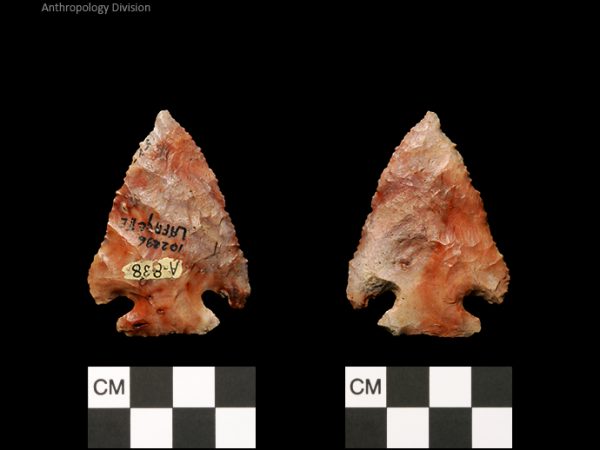 Lafayette | Transitional