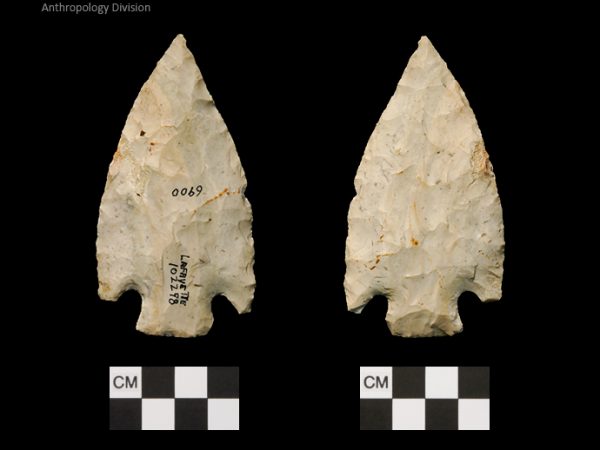 Lafayette | Transitional