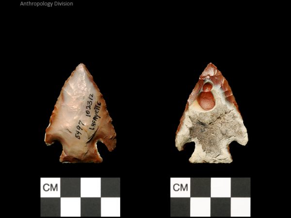 Lafayette | Transitional