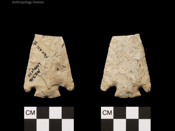 Lafayette | Transitional