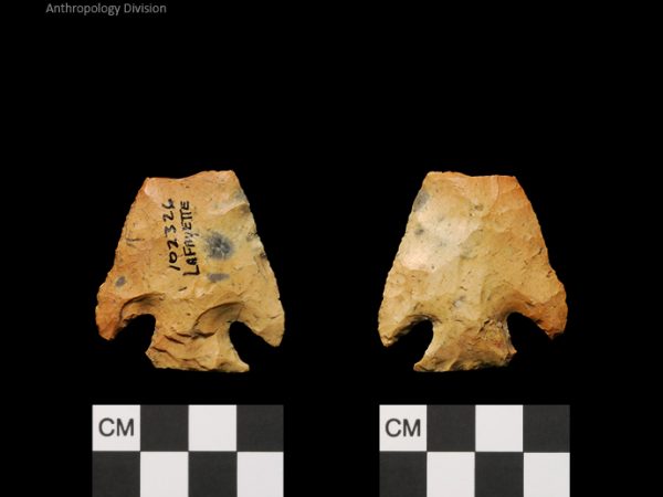 Lafayette | Transitional