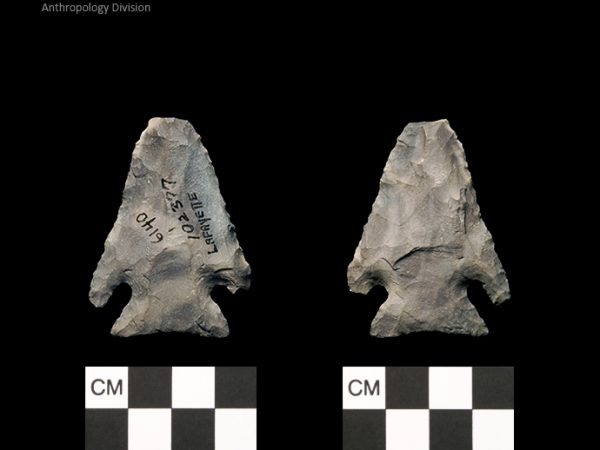 Lafayette | Transitional