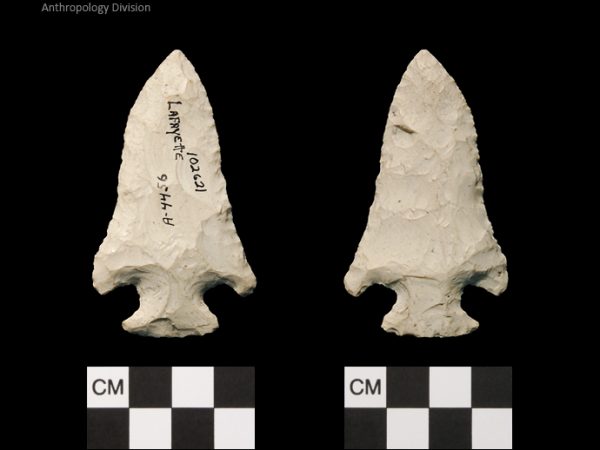 Lafayette | Transitional